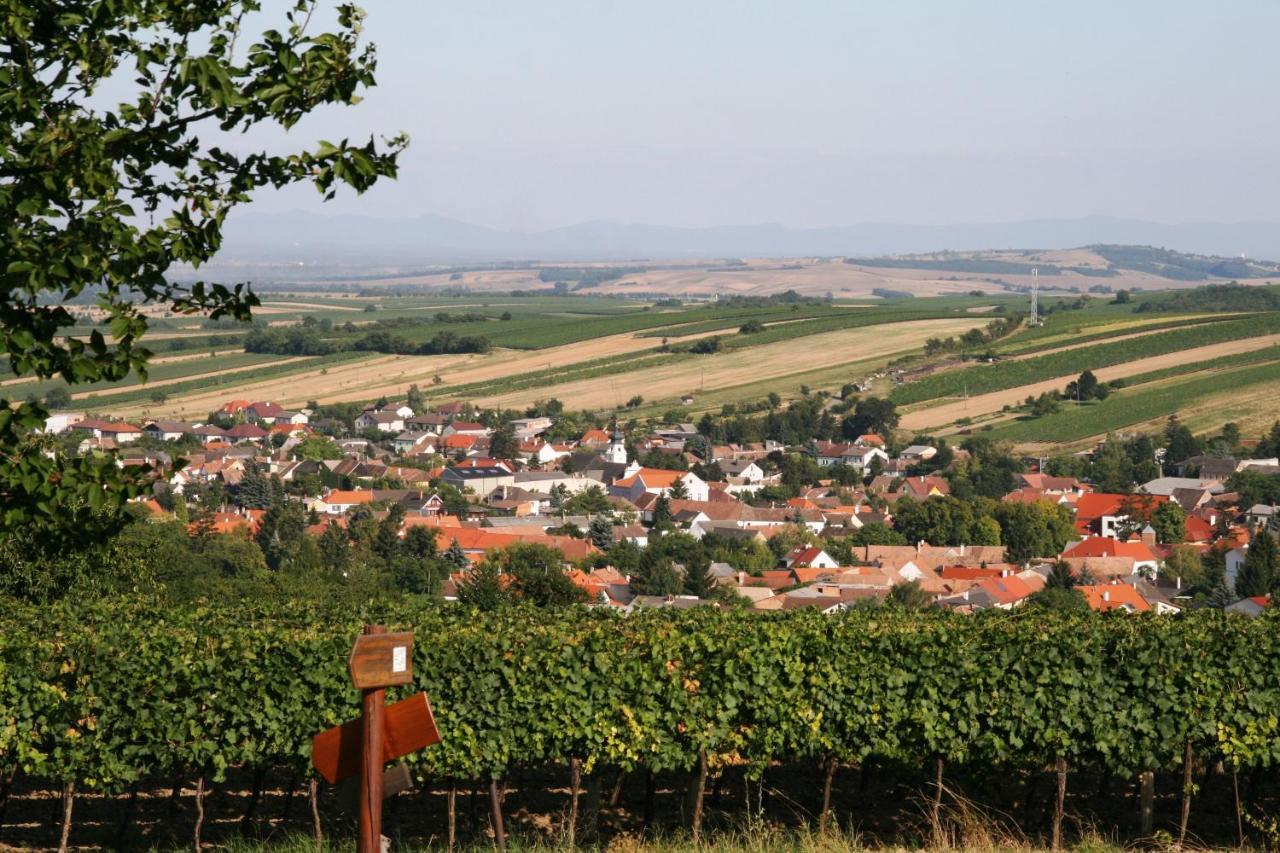 Weingut Zur Schlafmuetze Hotell Herrnbaumgarten Exteriör bild