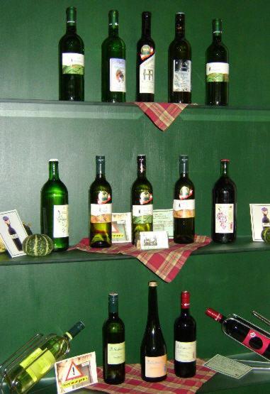 Weingut Zur Schlafmuetze Hotell Herrnbaumgarten Exteriör bild