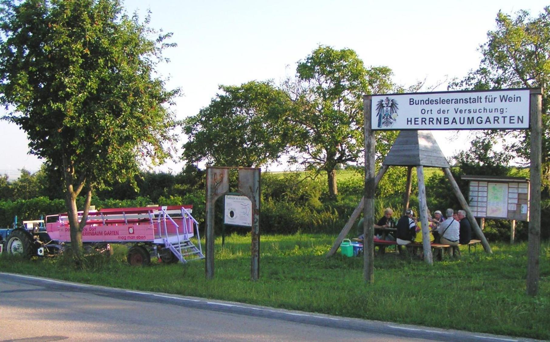 Weingut Zur Schlafmuetze Hotell Herrnbaumgarten Exteriör bild